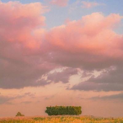 华夏招鑫鸿瑞混合C净值上涨3.55%