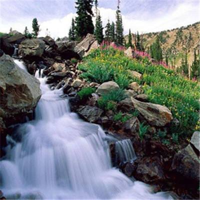 贝莱德总裁Kapito警告 投资者低估伊朗战争风险